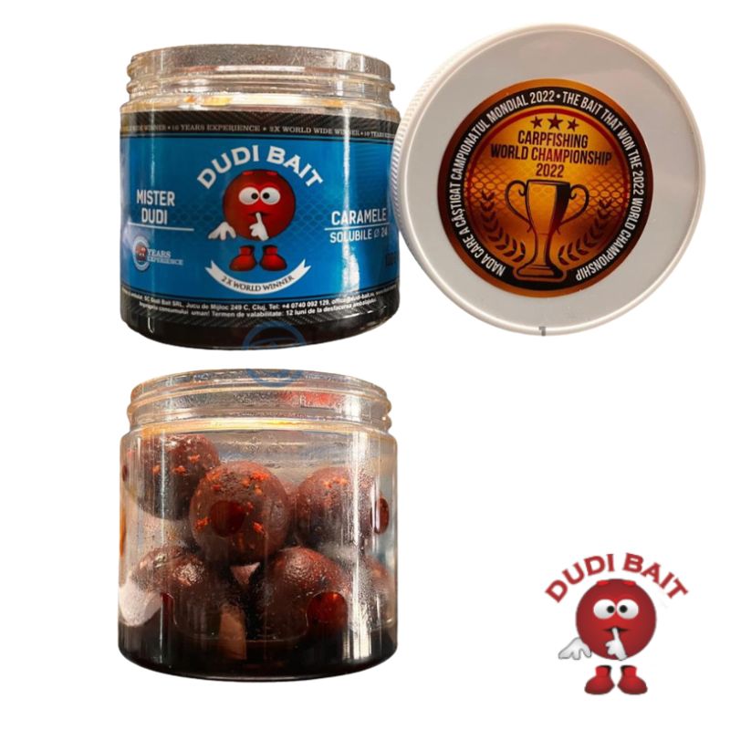 BOILIES MISTER DUDI 100GR 24MM SOLUBLE