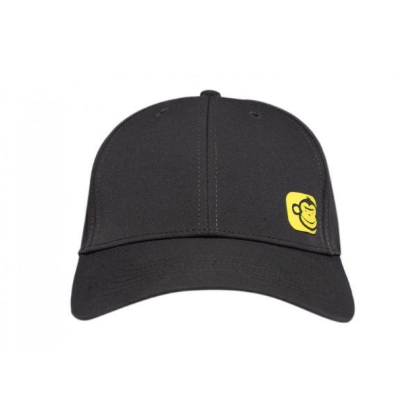 GORRA GRIS RIDGEMONKEY