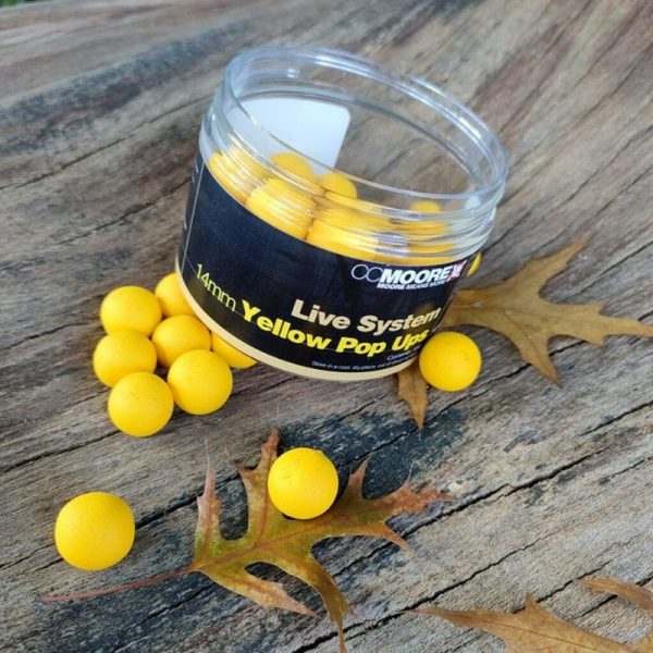 634158433559 1 600x600