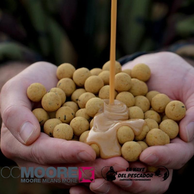 LIVE SYSTEM 24MM CCMOORE Imagen 2