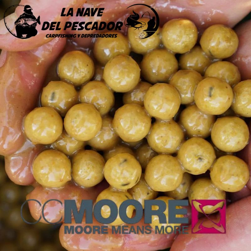 LIVE SYSTEM 24MM CCMOORE Imagen 3