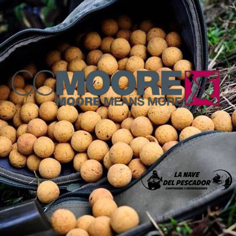 LIVE SYSTEM 24MM CCMOORE Imagen 4
