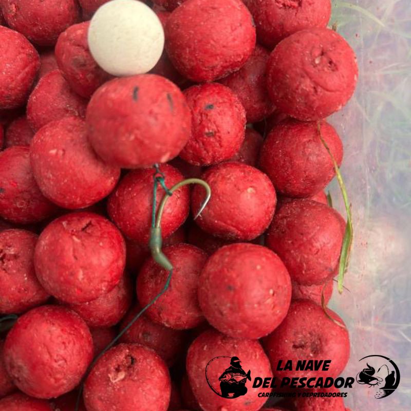 BOILIES ROBIN RED Y MONS CRAB 20MM Imagen 3