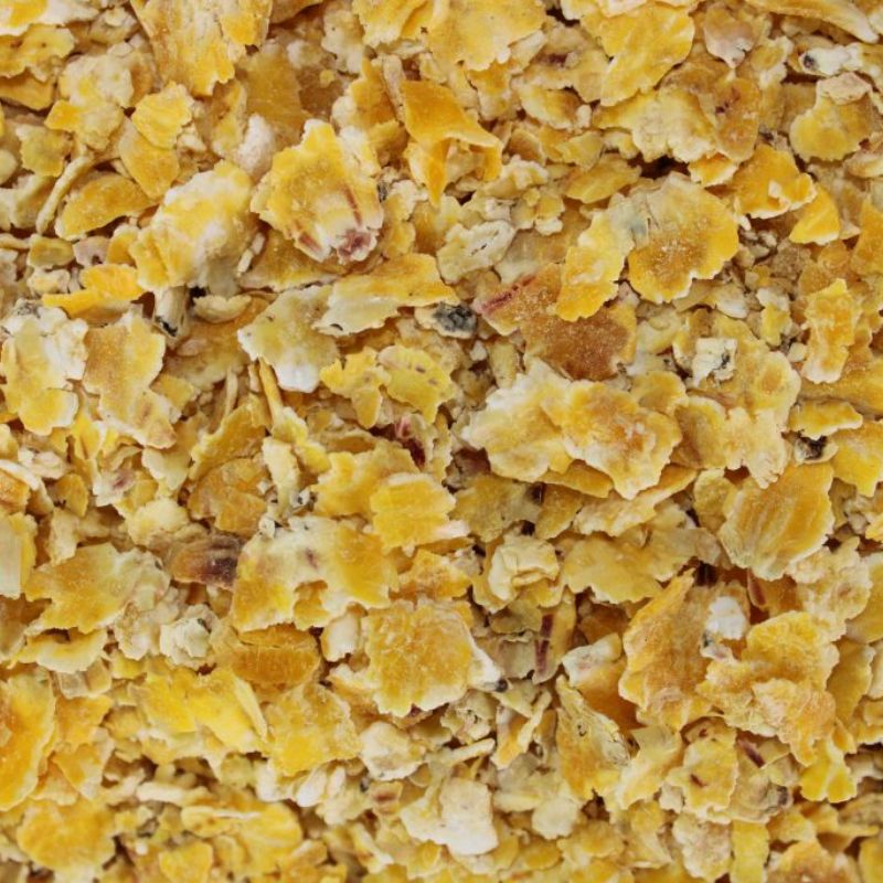 CORN FLAKES 1000GR PROELITE BAITS Imagen 2