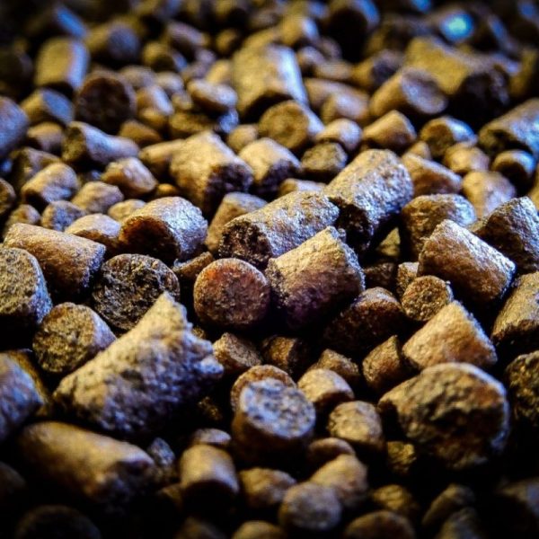 8433800200080 1 600x600