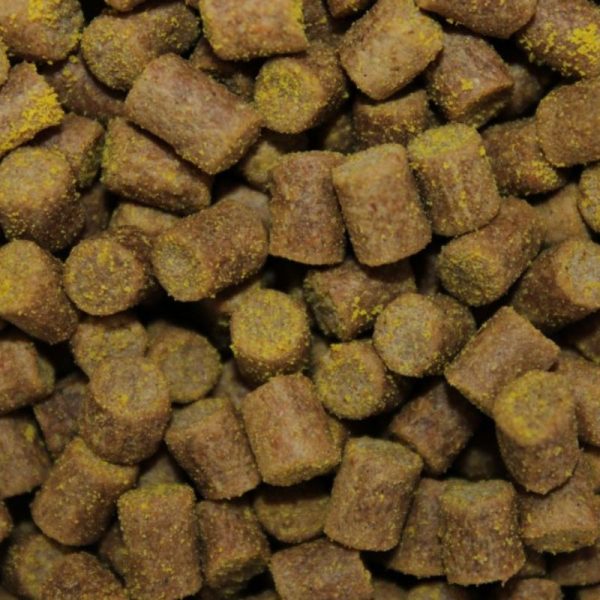 8433800200530 1 600x600