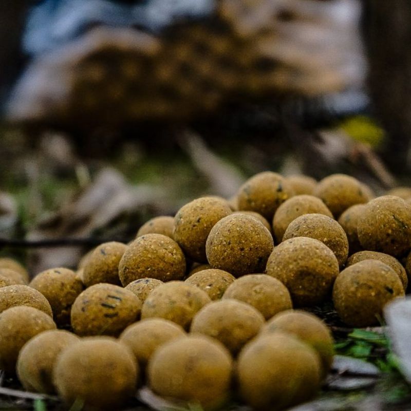 BOILIES 20MM GARLIC PROELITE 800GR Imagen 2