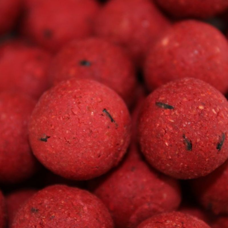 BOILIES ROBIN RED 24MM 800GR Imagen 3