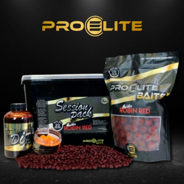 SESSION PACK GOLD ROBIN RED