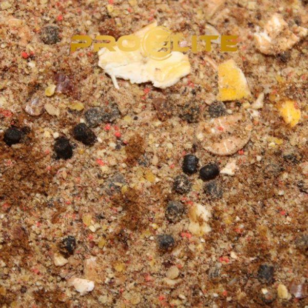 8433800204835 1 600x600