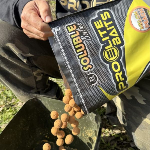 8433800210218 1 600x600