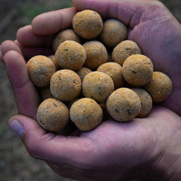 8433800210232 1 600x600