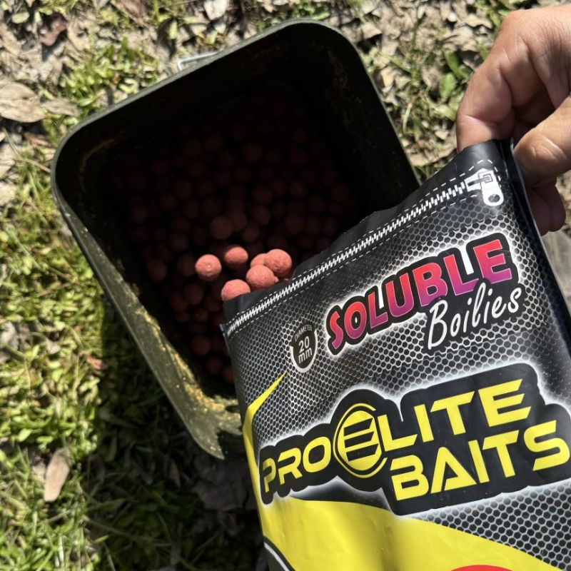 BOILIES SOLUBLE BLOODY MULBERRY 20MM 3,5 Imagen 2