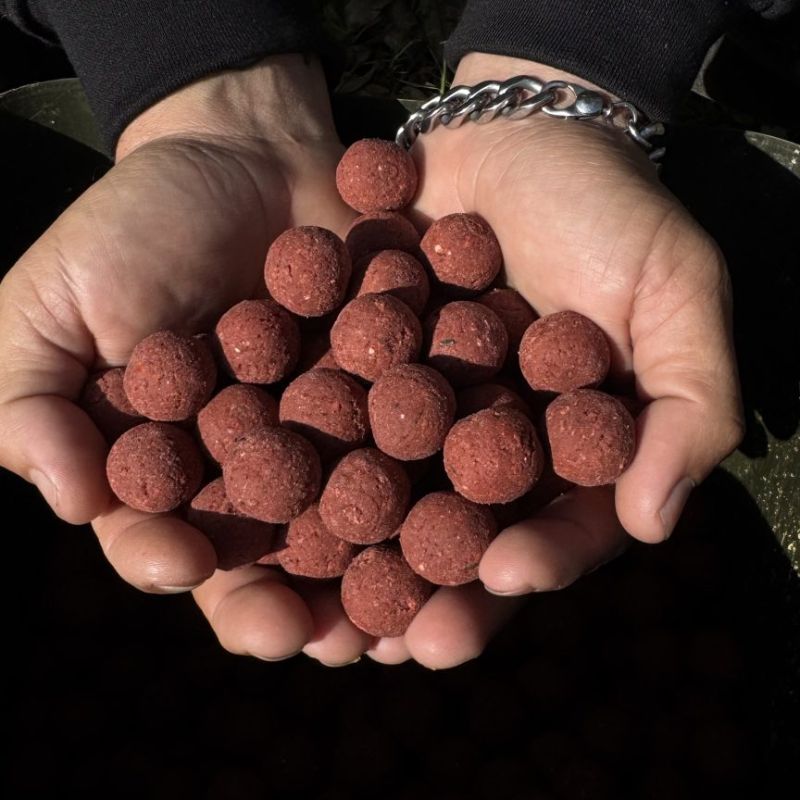 BOILIES SOLUBLE BLOODY MULBERRY 20MM 3,5 Imagen 3
