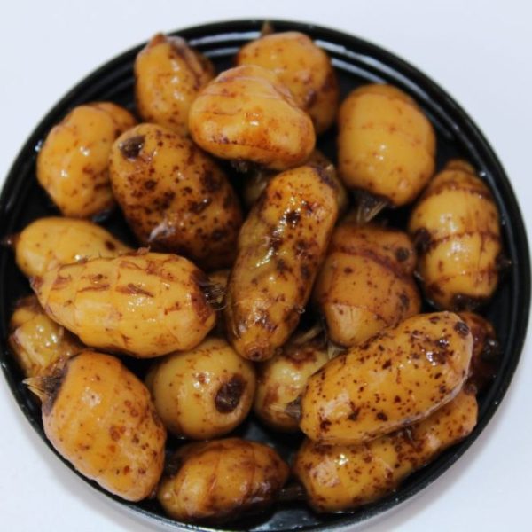 8433800202237 1 600x600