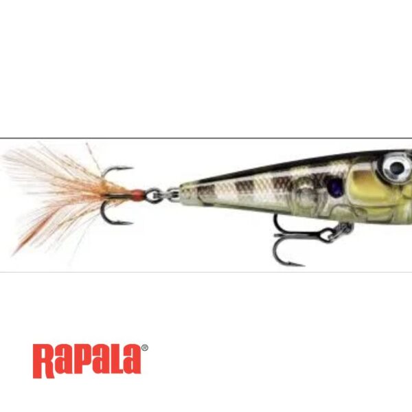 RAPALA XLIGHT SERIES FNP04 POPPING FLOAT