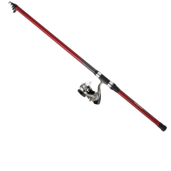 COMBO DAIWA SWEEPFIRE 35TEBF + DF4000A