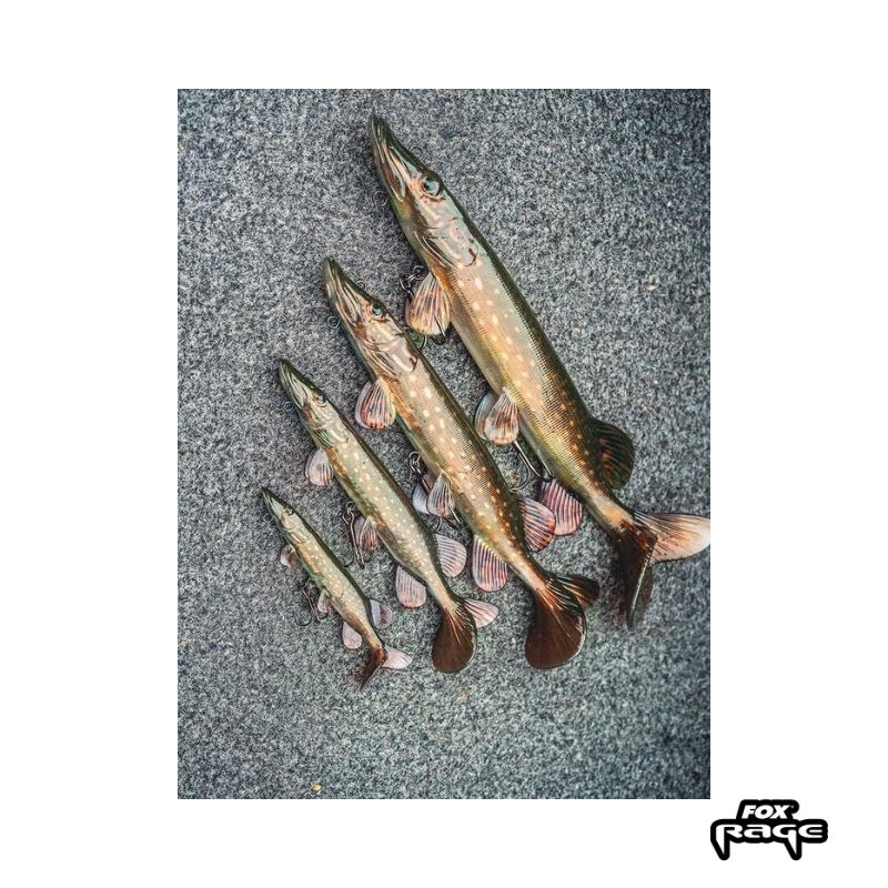 FOX RAGE REPLICANT PIKE 15CM SIZE 4 Imagen 3